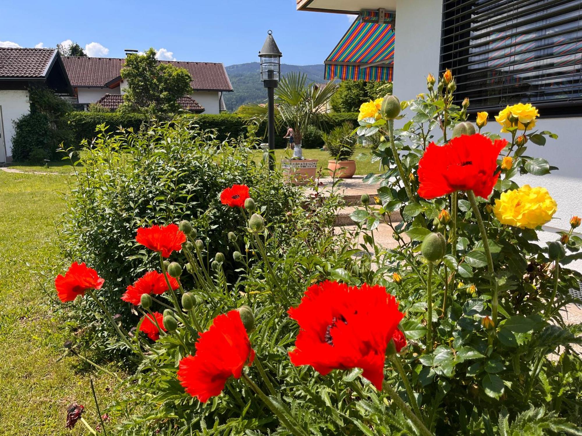 Haus Bergblick Διαμέρισμα Φίλλαχ Εξωτερικό φωτογραφία